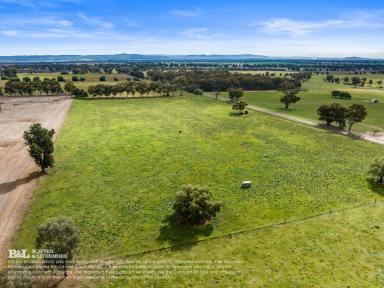 Farm Sold - NSW - Cowra - 2794 - In A Class of It&apos;s Own – Equine, stud stock or simply a rural lifestyle opportunity - 37.12 Acres  (Image 2)