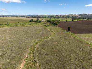 Farm Sold - NSW - Gundagai - 2722 - Wattle Grove - Owned by the same family for 159 years  (Image 2)