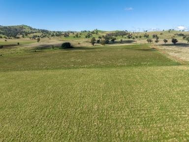 Farm Sold - NSW - Gundagai - 2722 - Wattle Grove - Owned by the same family for 159 years  (Image 2)