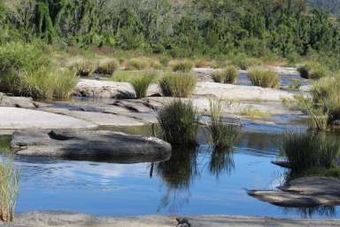 Farm For Sale - NSW - Drake - 2469 - Water Is Life  (Image 2)