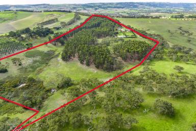 Farm For Sale - SA - Torrens Vale - 5203 - ***New Price $1,500,000*** - Amazing Opportunity at this Price  (Image 2)