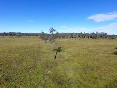 Farm For Sale - NSW - Marom Creek - 2480 - MIXED FARMING - CLOSE TO THE COAST  (Image 2)