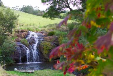 Farm Sold - NSW - Dorrigo - 2453 - A Long Term Vision Cut Short - Urgent Sale.  (Image 2)