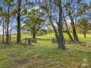Farm Sold - NSW - Canyonleigh - 2577 - Southern Highlands Rural Lifestyle Opportunity  (Image 2)