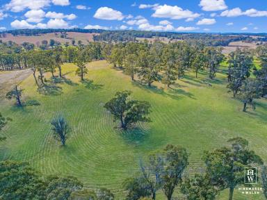 Farm Sold - NSW - Canyonleigh - 2577 - Southern Highlands Rural Lifestyle Opportunity  (Image 2)