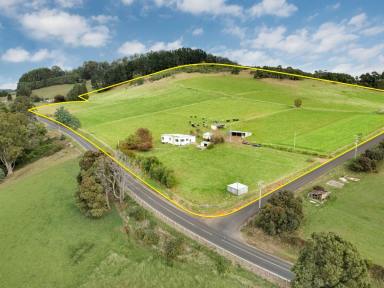 Farm For Sale - TAS - North Motton - 7315 - Rich Fertile Land Ripe for the Picking  (Image 2)