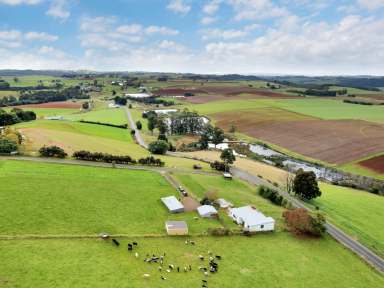 Farm Sold - TAS - North Motton - 7315 - Rich Fertile Land Ripe for the Picking (48.05 acres)  (Image 2)