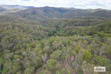 Farm For Sale - QLD - Upper Glastonbury - 4570 - Ragged Mountain Ranges & Far Horizons with Forever Views  (Image 2)