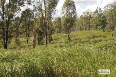 Farm For Sale - QLD - Upper Glastonbury - 4570 - Ragged Mountain Ranges & Far Horizons with Forever Views  (Image 2)