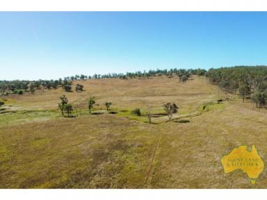 Farm Sold - QLD - Runnymede - 4615 - Manumbar Road, Runnymede  (Image 2)