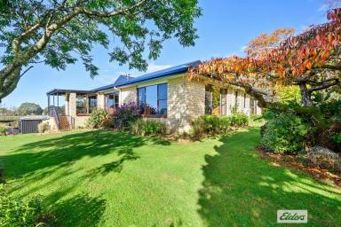 Farm Sold - TAS - Mooreville - 7321 - PRIVATE AND PEACEFUL  (Image 2)