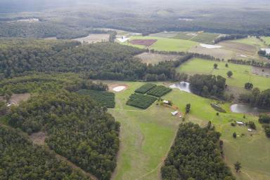 Farm For Sale - WA - Glenoran - 6258 - 136.4 Acres of productive crops & farmland  (Image 2)