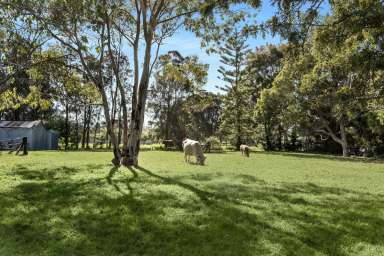 Farm Sold - NSW - Shoalhaven Heads - 2535 - Coastal Country Home on 5.18 acres  (Image 2)