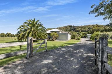 Farm Sold - NSW - Shoalhaven Heads - 2535 - Coastal Country Home on 5.18 acres  (Image 2)