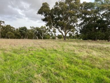 Farm Sold - SA - Naracoorte - 5271 - Aspect, position and opportunity  (Image 2)