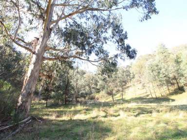 Farm Sold - VIC - Tongio - 3896 - BUSH ESCAPE IN THE HIGH COUNTRY  (Image 2)