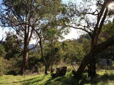 Farm Sold - VIC - Tongio - 3896 - BUSH ESCAPE IN THE HIGH COUNTRY  (Image 2)