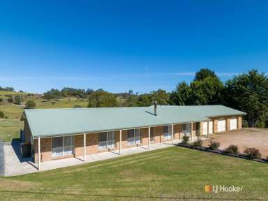 Farm Sold - NSW - Bega - 2550 - FAMILY LIVING AT ITS BEST  (Image 2)