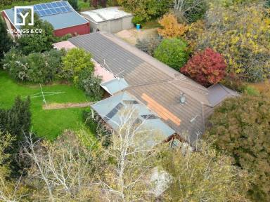 Farm Sold - VIC - Shepparton East - 3631 - Enjoy the Lifestyle - 4 Bedrooms - 4,139m2 Block, Large Shedding - Close to Town  (Image 2)