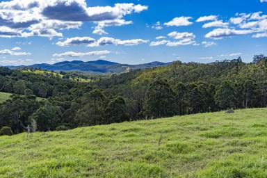 Farm Sold - NSW - Allworth - 2425 - SPECTACULAR VIEWS TO THE COAST AND MOUNTAINS  (Image 2)