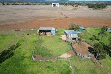 Farm For Sale - NSW - Inverell - 2360 - YOUR OWN SLICE OF RURAL PARADISE  (Image 2)