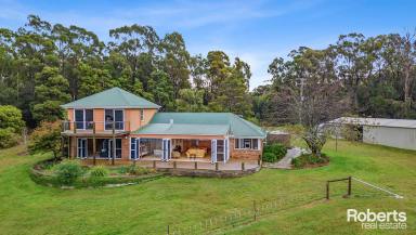 Farm For Sale - TAS - Clarence Point - 7270 - CAPTIVATING WATERFRONT ACREAGE  (Image 2)