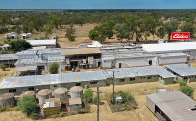 12498 Carnarvon Hwy,, St George QLD 4487