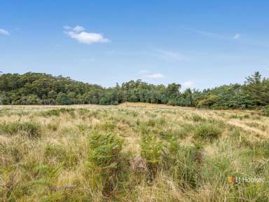 Farm Sold - TAS - Upper Natone - 7321 - A Fresh New Adventure Awaits  (Image 2)