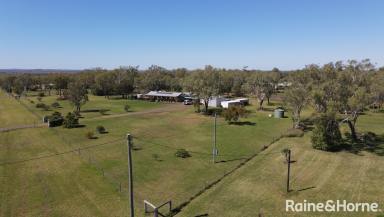 Farm Sold - QLD - Dalby - 4405 - Quiet Rural Escape Under 10mins From Town  (Image 2)