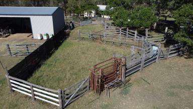 Farm For Sale - NSW - Piora - 2470 - Prime grazing opportunity with potential  (Image 2)