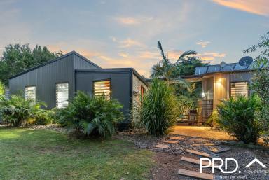 Farm Sold - NSW - Kyogle - 2474 - Pavilion-style home | 12 acres |  Running creek  (Image 2)