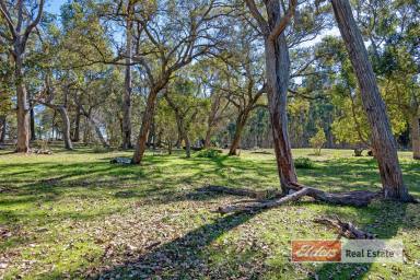 Farm Sold - WA - Napier - 6330 - Get Away From It All – Private Lifestyle Haven with Income  (Image 2)