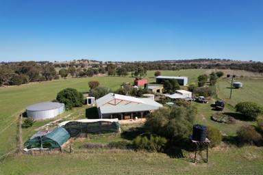 Farm Sold - WA - Dale - 6304 - For Sale by Auction: Meadow Haven a Tranquil Rural Retreat in The Dale     16.88ha  (Image 2)