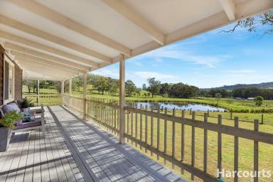 Farm Sold - NSW - Hilldale - 2420 - Live The Country Lifestyle on this Picturesque Rural Property  (Image 2)