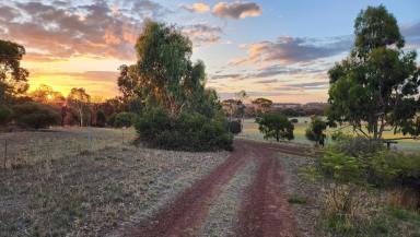 Farm Sold - WA - Woodanilling - 6316 - Paradise in the Country  (Image 2)