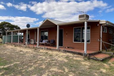 Farm Sold - WA - Woodanilling - 6316 - Paradise in the Country  (Image 2)