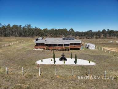 Farm Sold - QLD - Inverlaw - 4610 - *****40 ACRES with an Oversize 4 bedroom Family Home with remote Gates!*****  (Image 2)