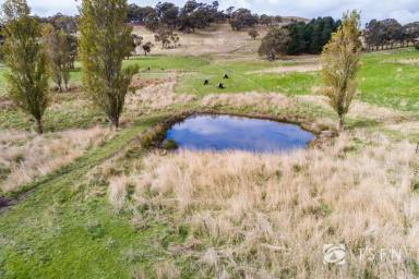 Farm Sold - VIC - Sedgwick - 3551 - Experience Rural Tranquility: Your Dream Lifestyle Awaits in Sedgwick  (Image 2)