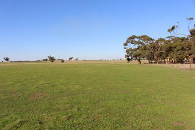 Farm For Sale - SA - Bordertown - 5268 - NEW RELEASE - Productive Lifestyle Property with Appeal  (Image 2)