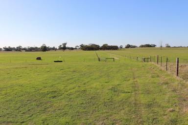 Farm For Sale - SA - Bordertown - 5268 - NEW RELEASE - Productive Lifestyle Property with Appeal  (Image 2)