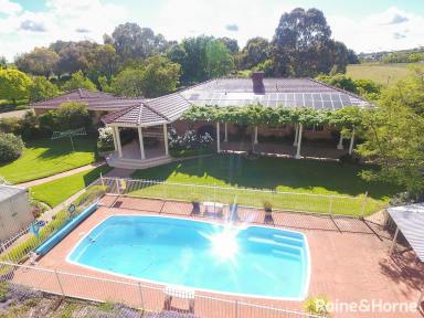 Farm Sold - NSW - Young - 2594 - GARDEN SERENITY AND ARCHITECTURAL EXCELLENCE!!  (Image 2)
