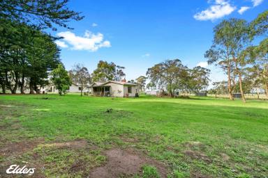 Farm Sold - VIC - Yarram - 3971 - BUILD YOUR DREAM HOME  (Image 2)