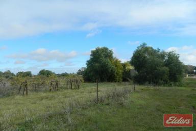 Farm Sold - SA - Kudla - 5115 - UNDER CONTRACT BY ANDREW PIKE  (Image 2)
