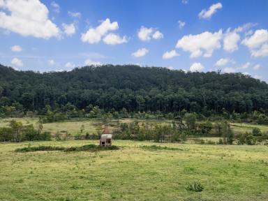 Farm For Sale - NSW - Laguna - 2325 - Spectacular Rural Holding!  (Image 2)