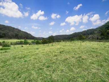 Farm For Sale - NSW - Laguna - 2325 - Spectacular Rural Holding!  (Image 2)