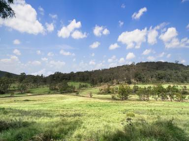Farm For Sale - NSW - Laguna - 2325 - Spectacular Rural Holding!  (Image 2)