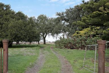 Farm Sold - VIC - Irrewarra - 3249 - EXCELLENT COLAC DISTRICT COUNTRY  (Image 2)