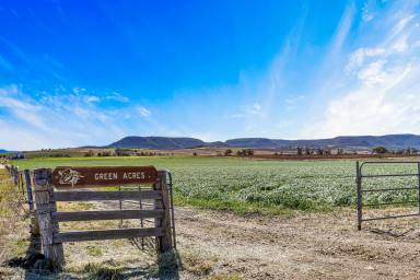 Farm Sold - QLD - Freestone - 4370 - Picturesque "Green Acres"  (Image 2)
