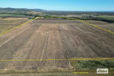 Farm For Sale - QLD - Laidley South - 4341 - Prime Cultivation - Just over 80 Acres in the Mulgowie Valley  (Image 2)