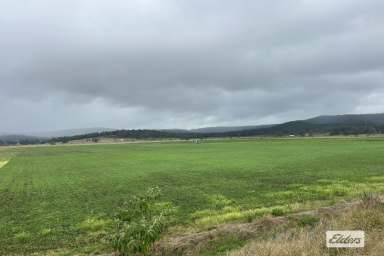 Farm For Sale - QLD - Laidley South - 4341 - Prime Cultivation - Just over 80 Acres in the Mulgowie Valley  (Image 2)